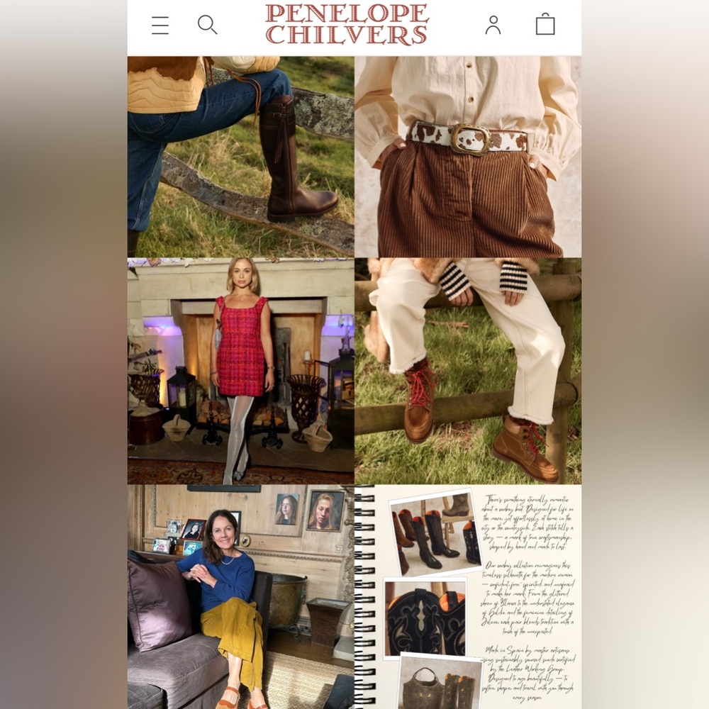 Penelope Chilvers Salva Metallic Ankle Boots - Picture 13 of 14